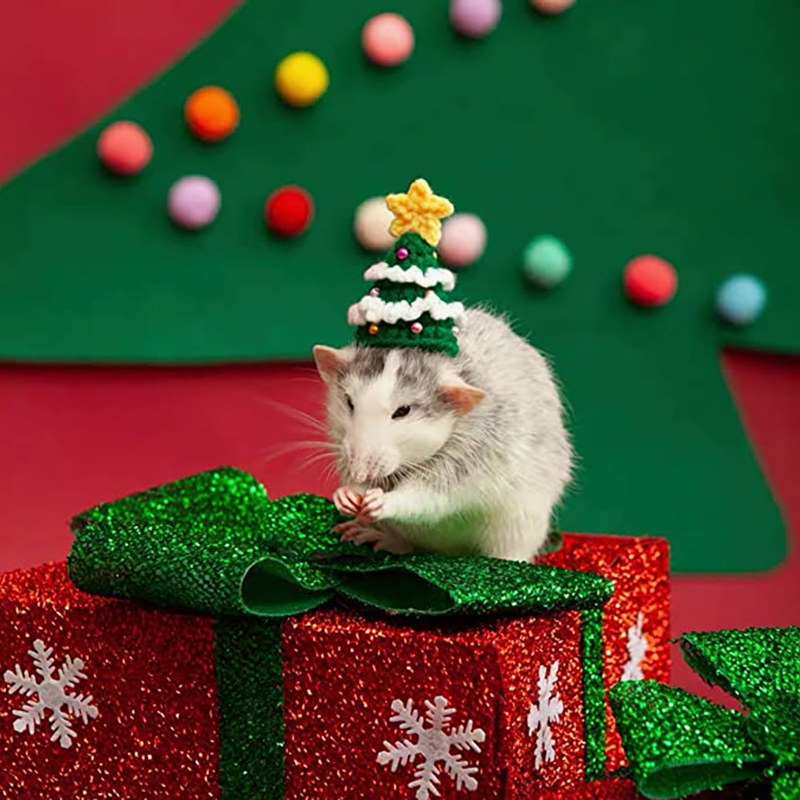 Cappello di natale per animali - Santa Hat Plush recensione e prezzo
